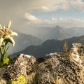 Heilklima-Wandern