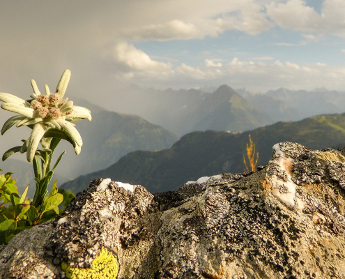 Heilklima-Wandern