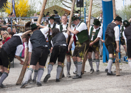 Maibaumaufstellen
