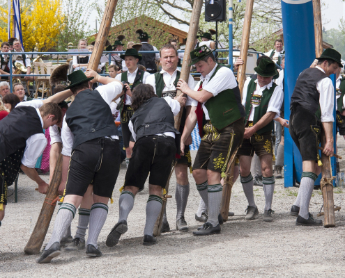 Maibaumaufstellen