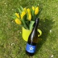 Grauer Burgunder Weingut Klaus Gundel