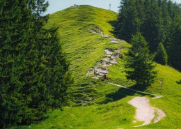 Tegernsee Nachrichten März 2023