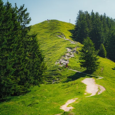Tegernsee Nachrichten März 2023