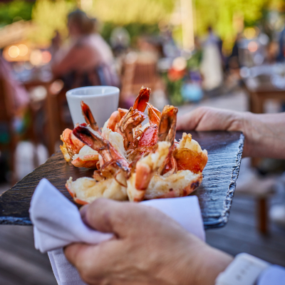 Scampi-Satt Termine