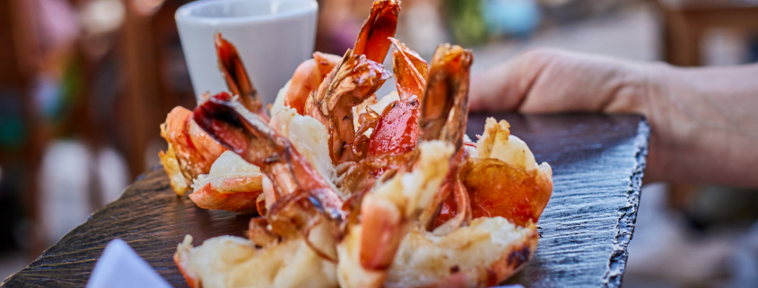 Scampi-Satt Termine