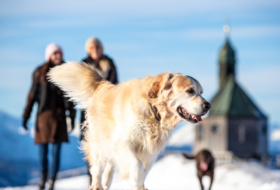 Tegernsee Nachrichten Januar 2024