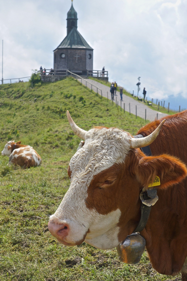 Tegernsee News März Frühling